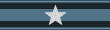 Badge for One Wound or Injury