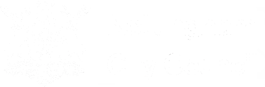Nottinghamshire City Council Logo